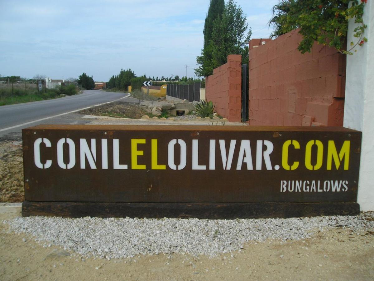 El Olivar De Roche Viejo Conil de la Frontera Kültér fotó