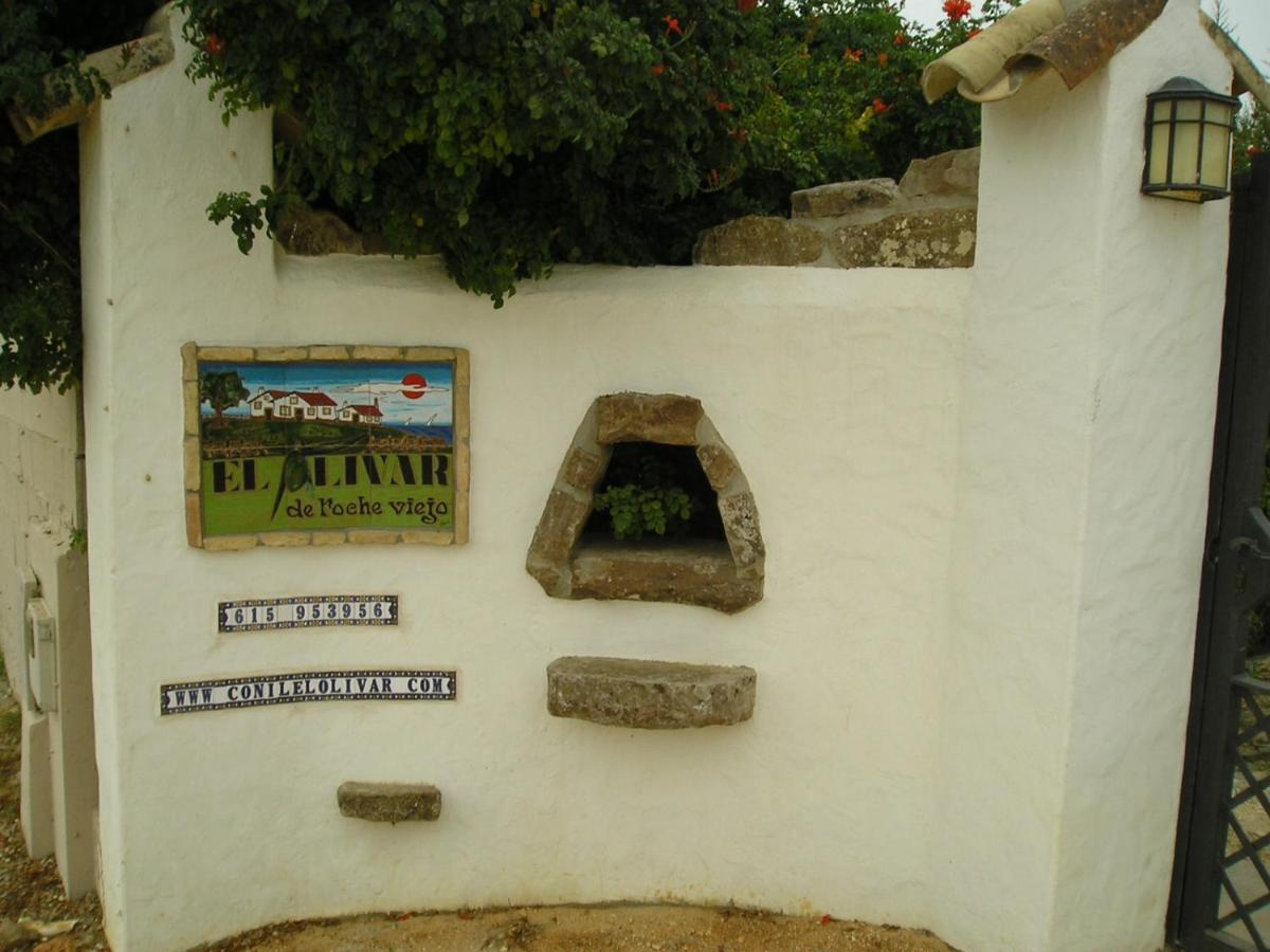 El Olivar De Roche Viejo Conil de la Frontera Kültér fotó