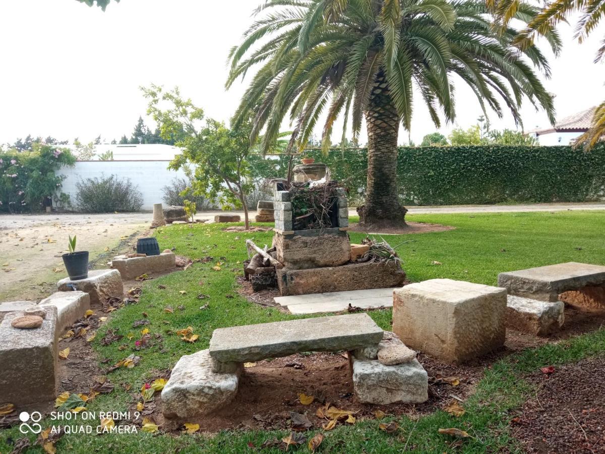 El Olivar De Roche Viejo Conil de la Frontera Kültér fotó