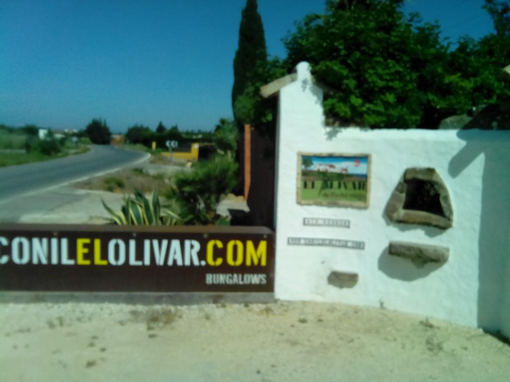 El Olivar De Roche Viejo Conil de la Frontera Kültér fotó