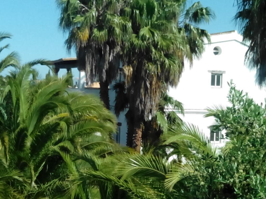 El Olivar De Roche Viejo Conil de la Frontera Kültér fotó