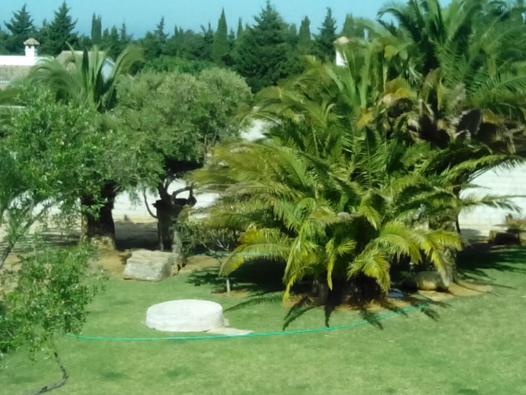 El Olivar De Roche Viejo Conil de la Frontera Kültér fotó