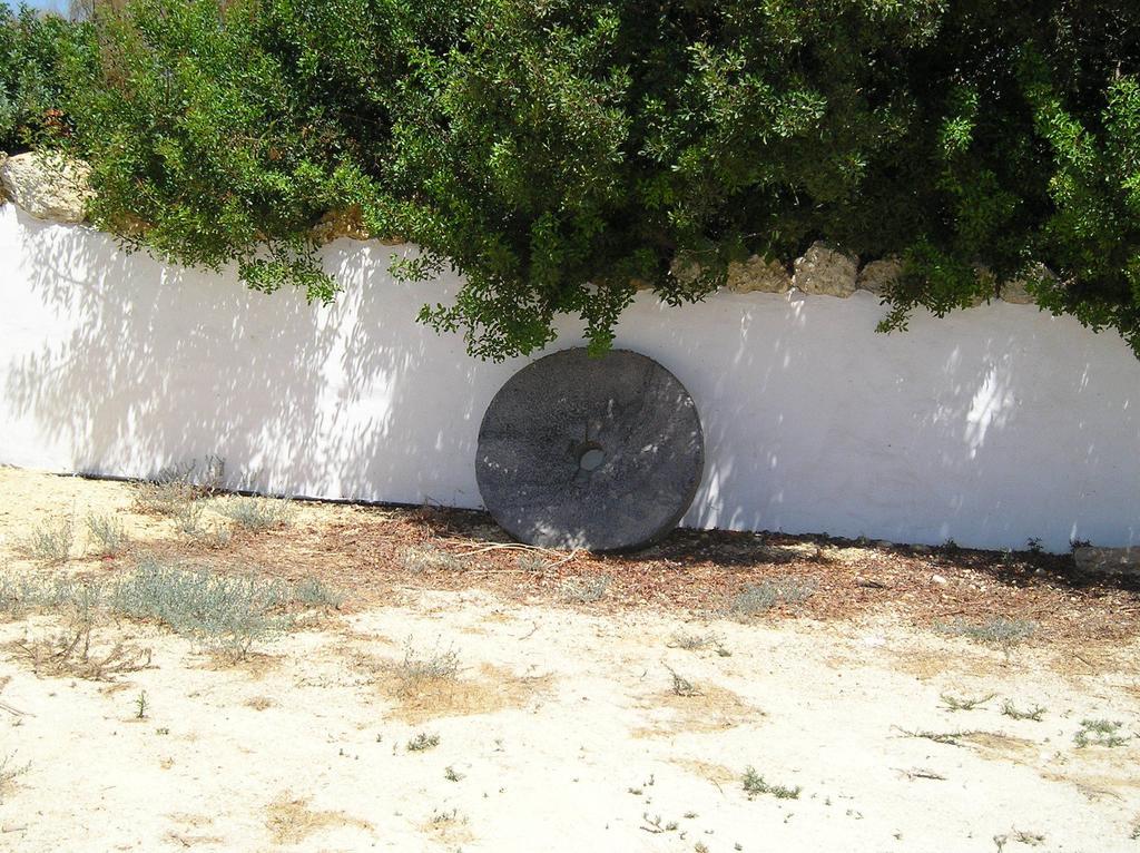 El Olivar De Roche Viejo Conil de la Frontera Kültér fotó